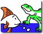 Aquatic & Reptile