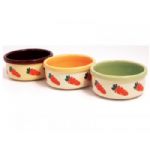 Rosewood Ceramic Carrot Design Bowl Small Animal Dish 5"