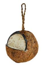 Coconut Suet Feeders 