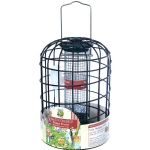 Protector Peanut Feeder - OUT OF STOCK